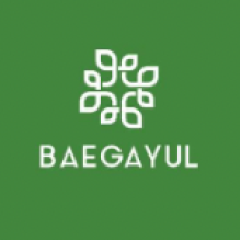 BAEGAYUL