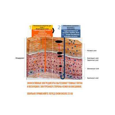 Осветляющий крем с пчелиным ядом и бисабололом DONGSUNG Rannce Cream 70ml
