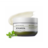 Успокаивающий восстанавливающий крем с полынью Bring Green Artemisia Calming Repair Cream